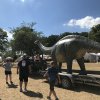Zeltlager 2019 0159
